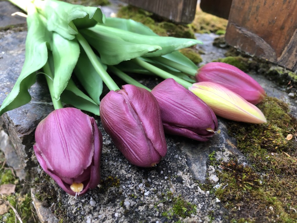 Umělé fialové tulipány latexové 38 cm